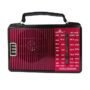 Bright 4 Band Portable Radio