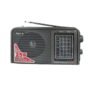 Den-B Rechargeable Radio