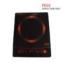 iON Induction Cooker