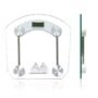Personal Weight Scale